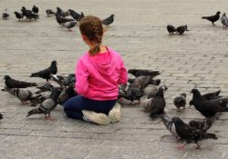 Jdete do přírody krmit zvěř? Víme, čím je krmit a čím ne