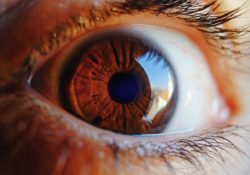 Diagnostikujeme člověka podle barvy očí