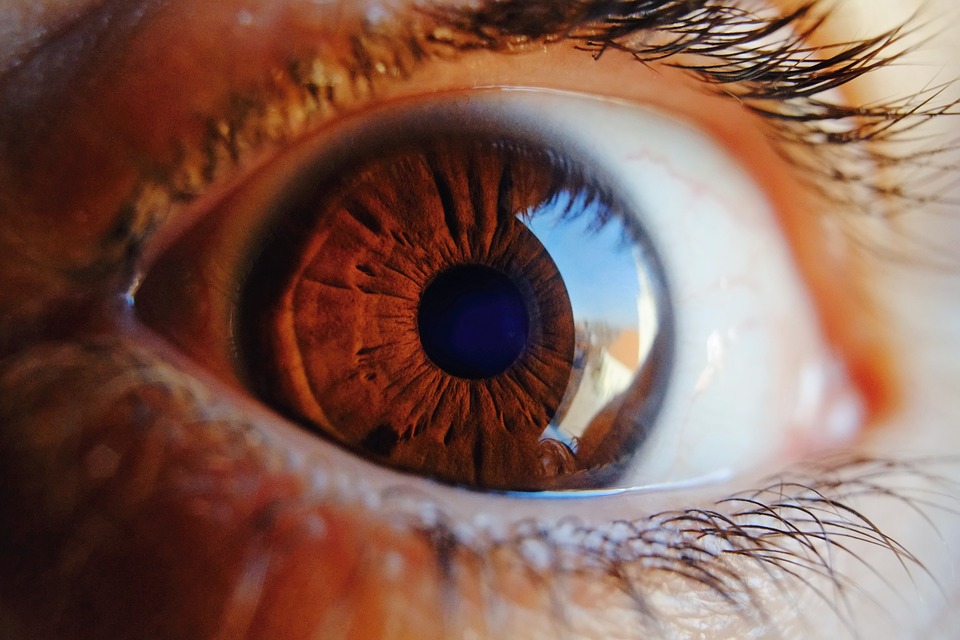 Diagnostikujeme člověka podle barvy očí