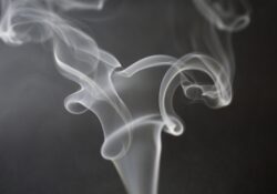 Zahřívaný tabák si získává oblibu