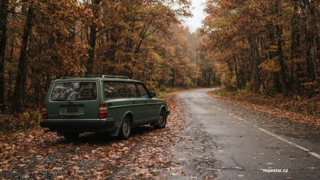 Auto na cestě mezi podzimními stromy